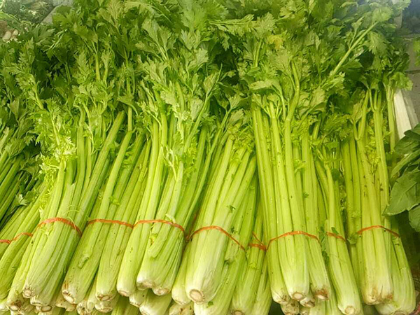 產(chǎn)品展示